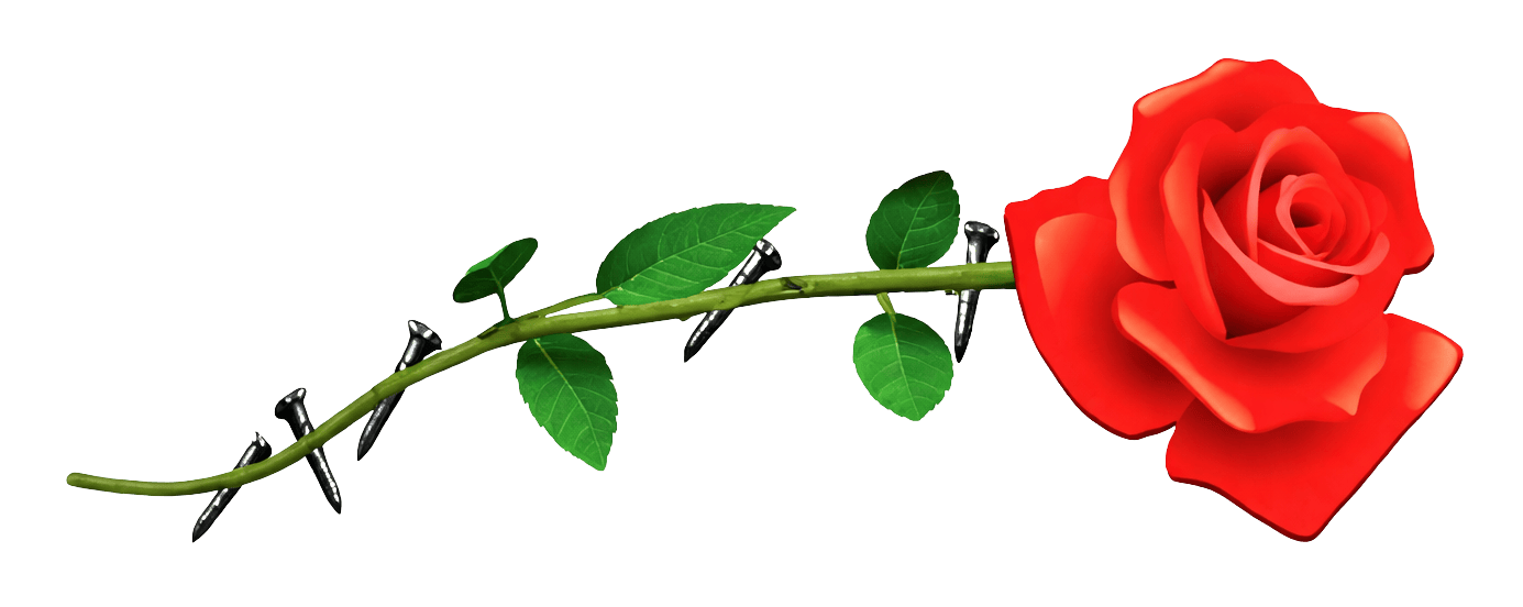 Iron Rose Custom Renovations Partial Logo